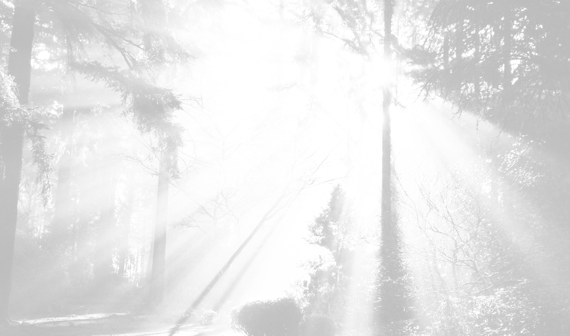 parallax background